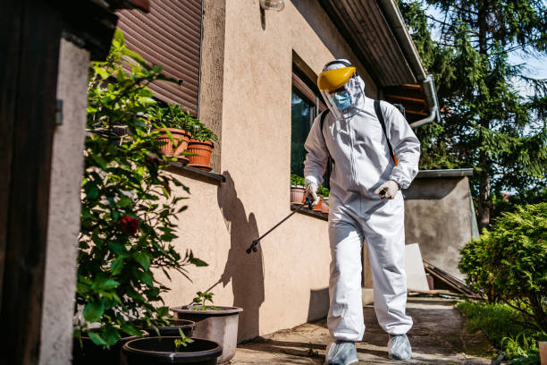 Best Pest Removal Services  in Williston, SC