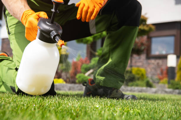 Reliable Williston, SC Pest Control Solutions