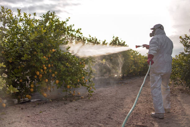 Best Pest Control for Homes  in Williston, SC