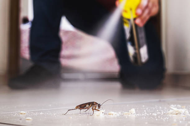 Best Cockroach Control Services  in Williston, SC