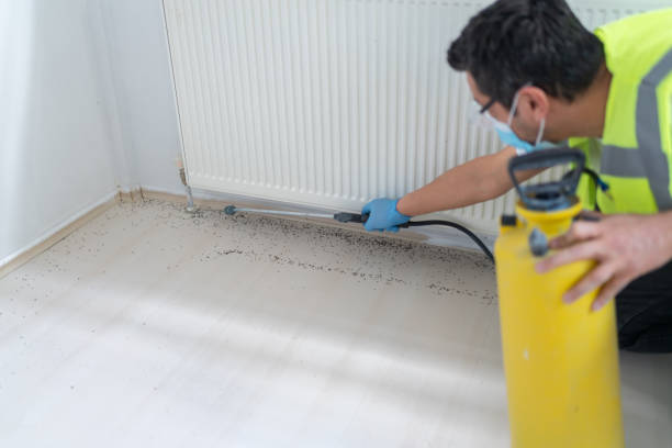 Best Emergency Pest Control  in Williston, SC