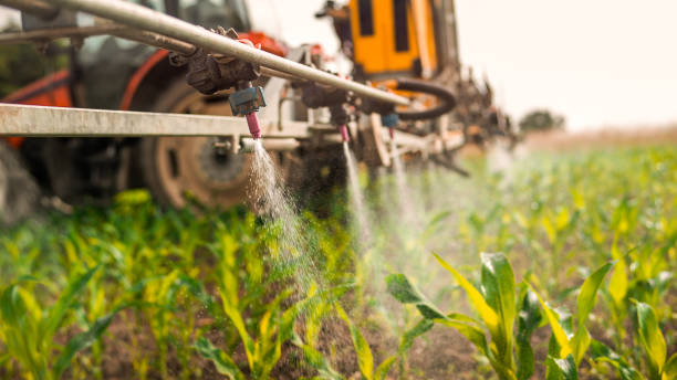 Best Pest Control Treatment  in Williston, SC